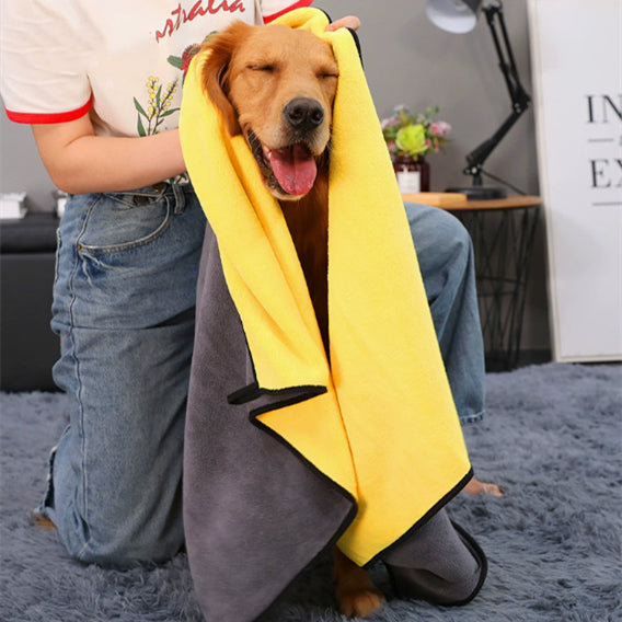 Why Your Pet Deserves the Best Drying Experience