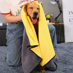 Why Your Pet Deserves the Best Drying Experience