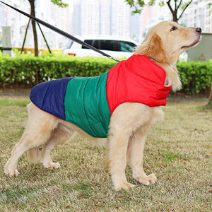 Keep Your Pet Cozy This Winter with Our Down Jacket