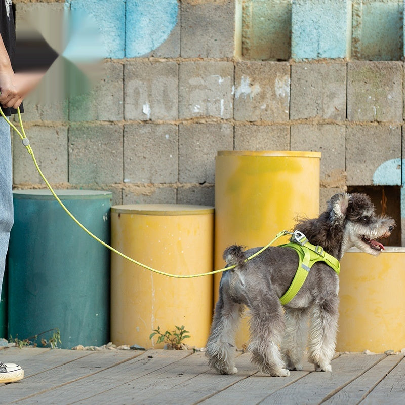 Colorful Adjustable Sliding Pet Leash: The Perfect Companion for Your Furry Friend