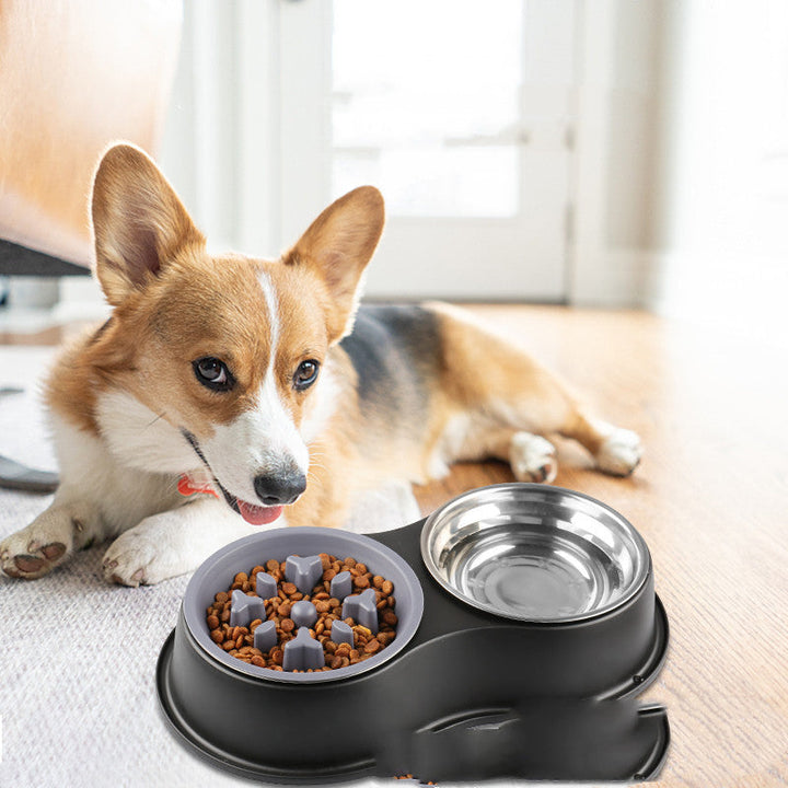 Discover the Benefits of the Removable Slow Feeding Pet Bowl