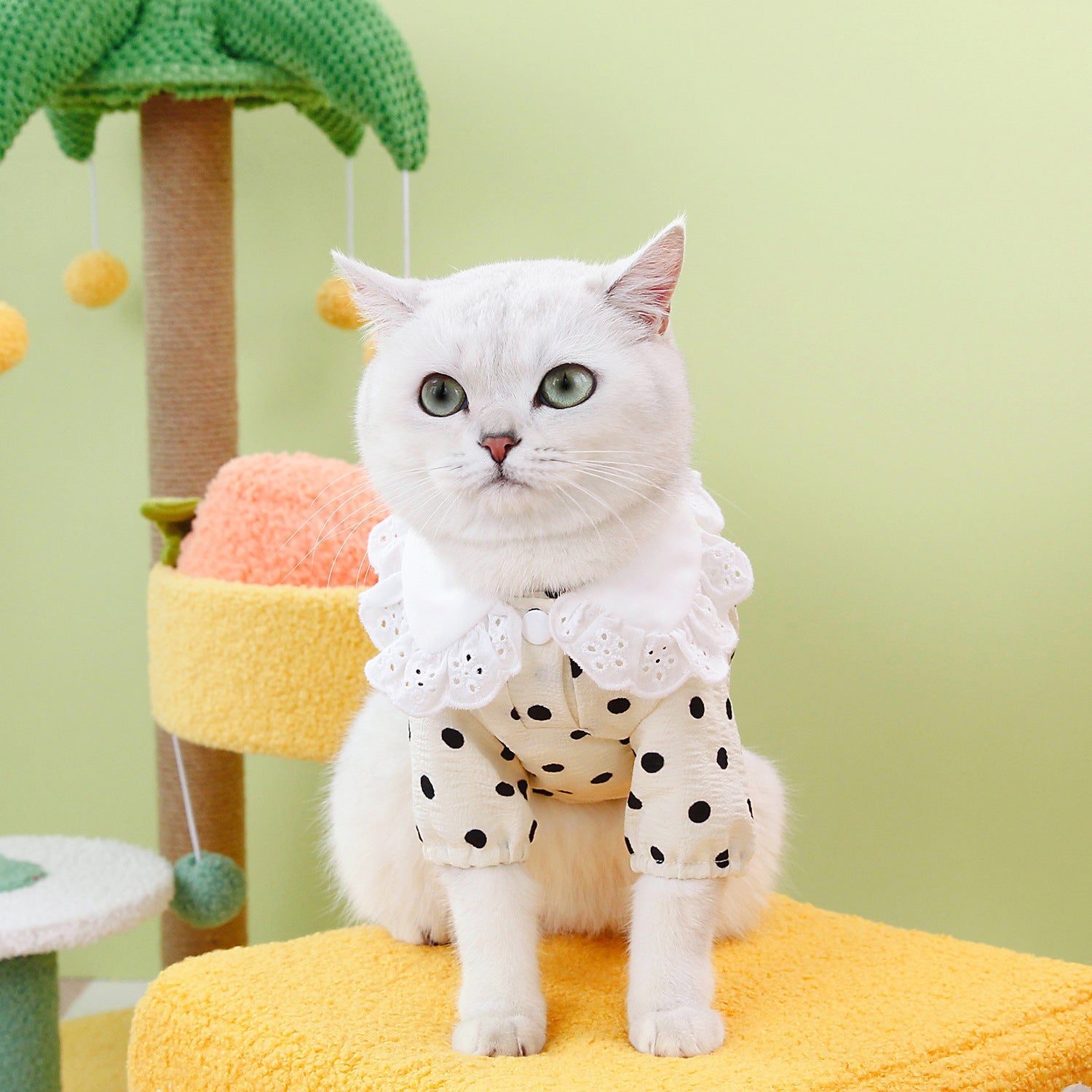 Dress Your Pet in Style with Our Pet Blue Ragdoll Style T Shirt Clothing