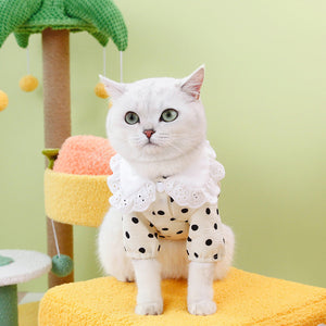 Dress Your Pet in Style with Our Pet Blue Ragdoll Style T Shirt Clothing