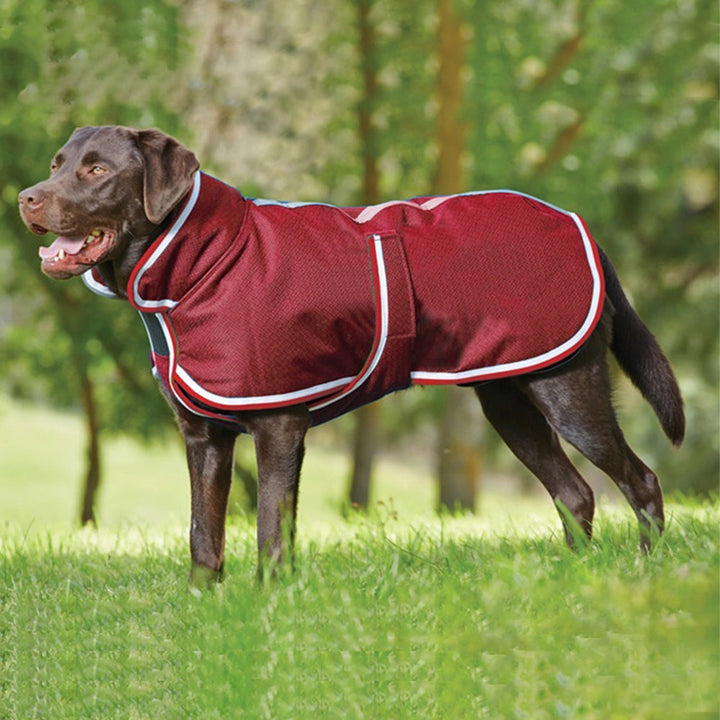Keep Your Pet Cozy This Winter with Our Waterproof Jacket