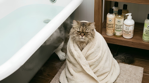 Gentle Pet Bath Supplies Guide
