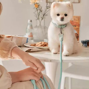 Explore the Elegance of Our Leather Pet Collar And Handheld Leash Set