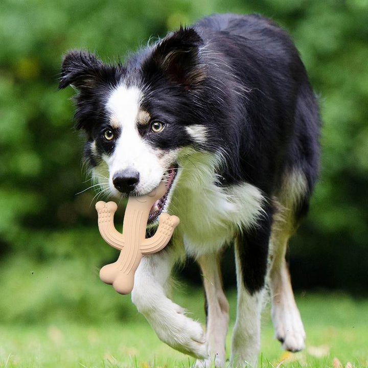 Unleash the Fun with the Pet Cactus Chew Durable Interactive Toy