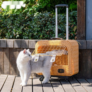 Discover the Perfect Pet Woven Rattan Portable Carrier Bag